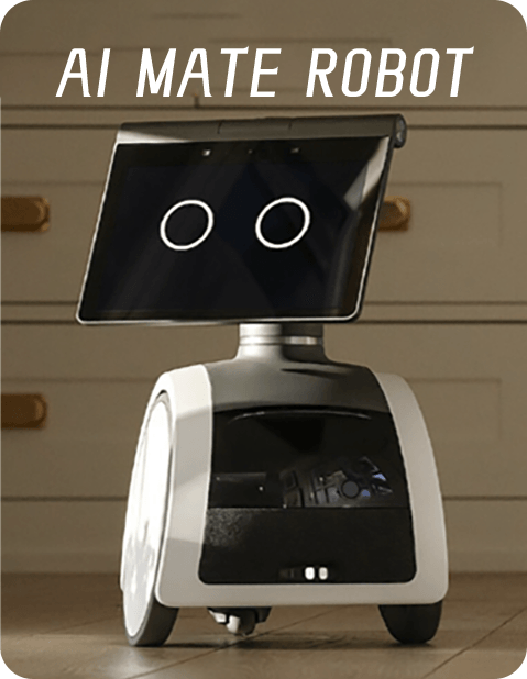 AI MATE ROBOT