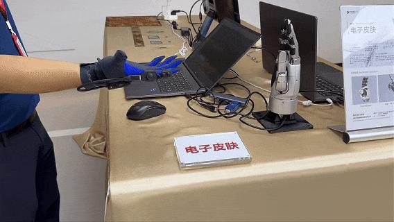 动图封面